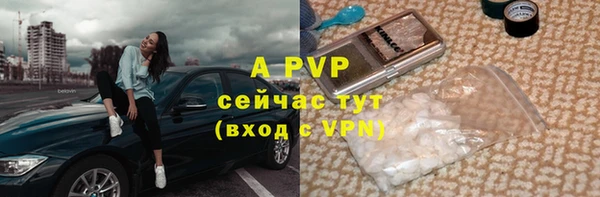 сатива Осташков