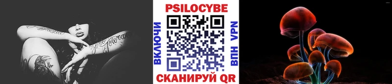 Псилоцибиновые грибы мицелий Красновишерск